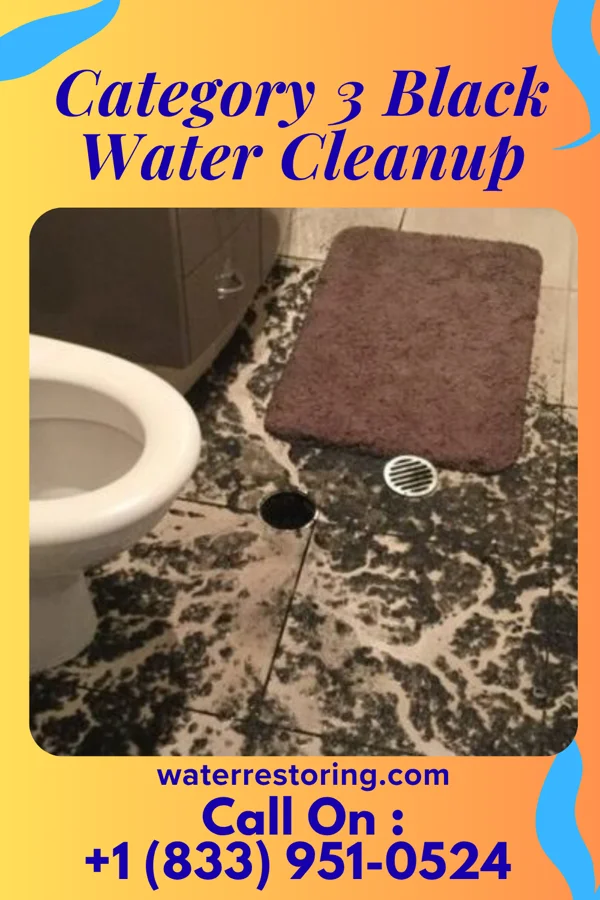 Category 3 Black Water Cleanup in Kane, PA