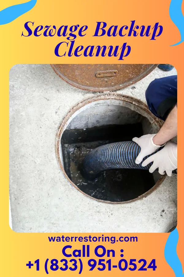 Sewage Backup Cleanup in Kane, PA