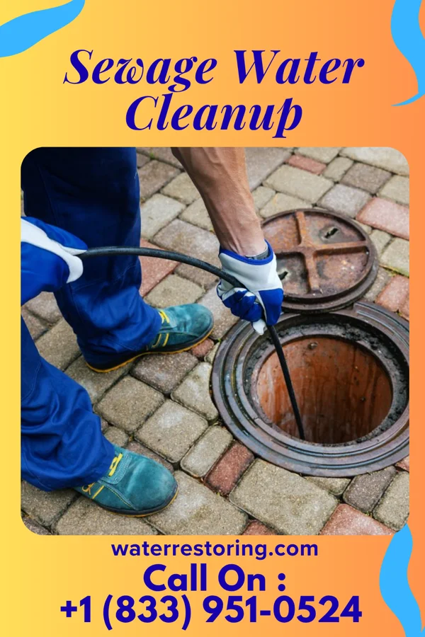 Sewage Water Cleanup in Kane, PA