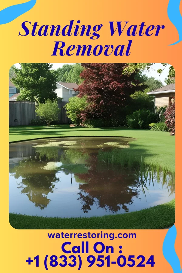 Standing Water Removal in Kane, PA